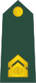 Višji vodnik (Slovenian Ground Force)[27]