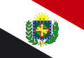 巴西国旗（提议稿）