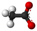 Ball-and-stick model of the acetate anion