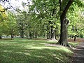 Little Hagley Park