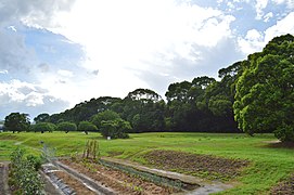 全景（東南側より）