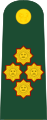 General de ejército (الجيش البيروفي)