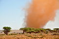 Сомалиленд во время засухи 2011 года