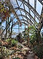 Graz,_Botanischer_Garten,_Sukkulentenhaus