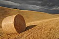 Botte de paille dans le val d'Orcia. Juillet 2012.