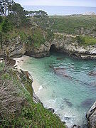 Crique de la réserve d'État de Point Lobos