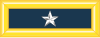 Brigadier General