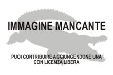 Immagine di Eocaiman mancante