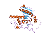 2o1f: Natural occurring Mutation of Human ABO(H) galactosyltransferase: GTB/M214R