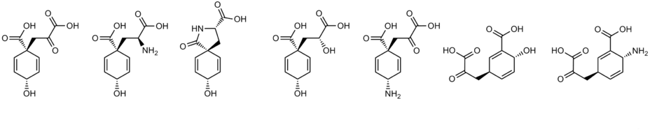 Природные циклогексадиенолы, а также им подобные циклогексадиенамины — малостабильные легко ароматизующиеся соединения шикиматного происхождения — предшественники первичных и значимых вторичных метаболитов