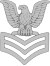 Petty Officer First Class (PO1)