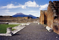 Mount Vesuvius looms over the ruins of Pompeii.