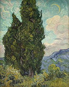 עצי ברוש - ציור שמן מאת וינסנט ואן גוך