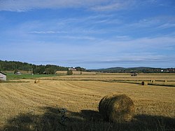 Planície agrícola em Trönö