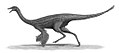 Gallimimus bullatos um terópode