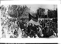 Hnutí za nezávislost v Sýrii, 1920