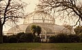 Liverpool Sefton Parkında 19. yüzyıldan kalma Palmiye Serası