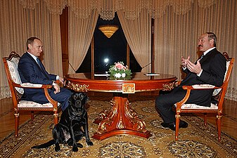 Konni sits under a table while Putin and Alexander Lukashenko have a talk.