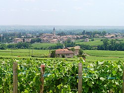 Skyline of Romanèche-Thorins