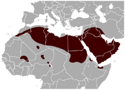 Aire de répartition du Gerboise des steppes