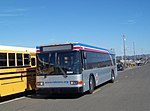 Light-gray bus with stripes, seen from the front