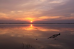 夕日と衡水湖