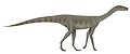 Asilisaurus kongwe