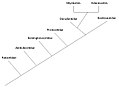 Image 40A phylogenetic tree showing the relationships among cetacean families. (from Evolution of cetaceans)