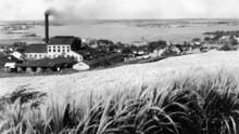 ʻAiea Sugar Mill (c. 1915)