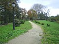 Parque das Insuas, visto desde a súa entrada.