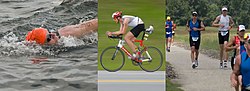 Triatlonové disciplíny (plavání, cyklistika a běh)