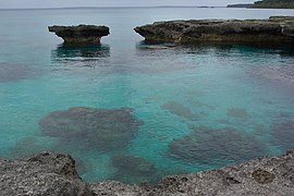 Récif corallien nan Lifou.