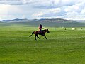 سهوب منغوليا