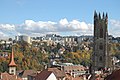 Panorama over Fribourg met de kathedraal en op de achtergrond de wijk Schönberg