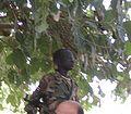 苏丹人民解放军的娃娃兵(2007)