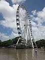 Wheel of Brisbane semasa Banjir Queensland 2010-2011