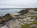 Plouguerneau : le port de l'île Vierge.