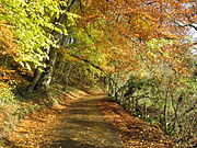 English country lane in the autumn