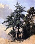 1849 Изучаване на природа, дървета, Нюбърг, Ню Йорк