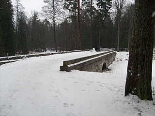 Парк зимой