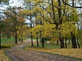 Осень в парке Александрия