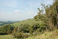 The North Downs at the Wye Downs National Nature Reserve