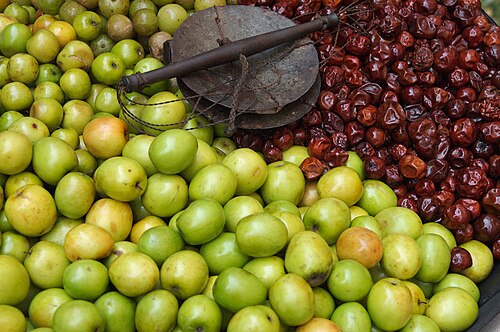 Ziziphus mauritiana utawi bekul