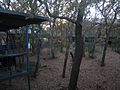 A view of the printmaking studios through a grove of trees, Haggerty Art Village, University of Dallas, Texas