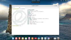 Neofetch en la distro elementary OS.