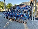 Blue-bike-deelfietsen