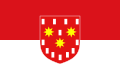 Vlag van De Pinte