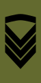 Oversersjant (Norwegian Army)[24]