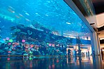 Dubai Mall med sitt akvarium.