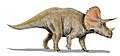 Triceratops je jedan od najprepoznatljivijih rodova krede.